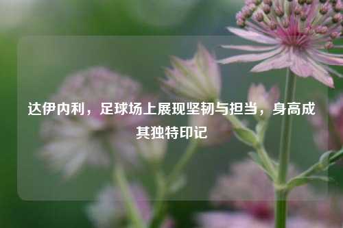 达伊内利,足球场上展现坚韧与担当,身高成其独特印记