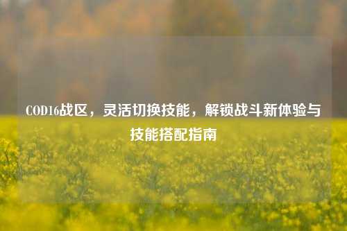 COD16战区，灵活切换技能，解锁战斗新体验与技能搭配指南