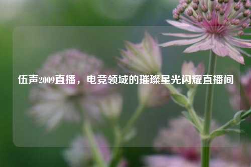 伍声2009直播，电竞领域的璀璨星光闪耀直播间