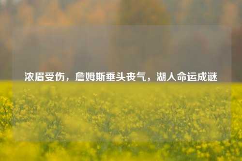 浓眉受伤，詹姆斯垂头丧气，湖人命运成谜