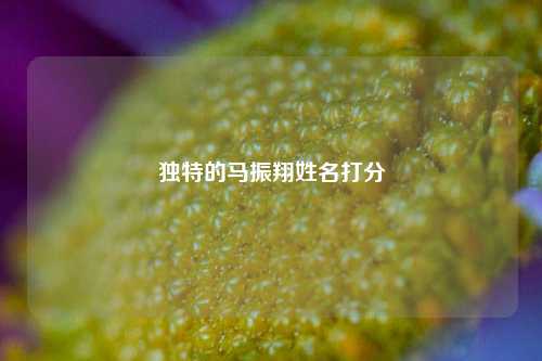 独特的马振翔姓名打分