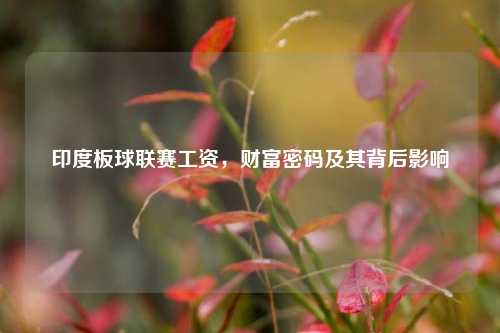 印度板球联赛工资，财富密码及其背后影响