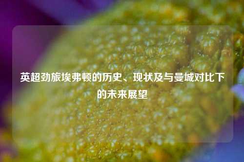 英超劲旅埃弗顿的历史、现状及与曼城对比下的未来展望