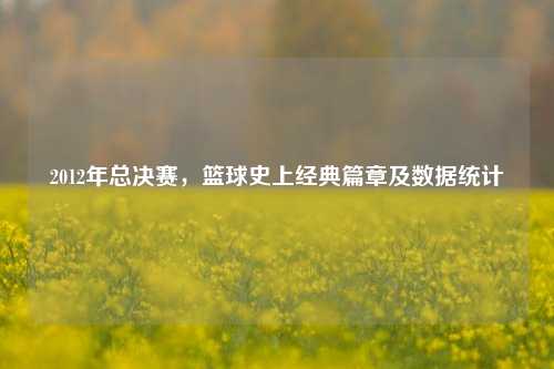 2012年总决赛，篮球史上经典篇章及数据统计