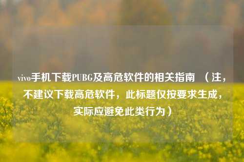 vivo手机下载PUBG及高危软件的相关指南 （注，不建议下载高危软件，此标题仅按要求生成，实际应避免此类行为）