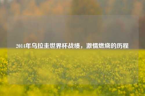 2014年乌拉圭世界杯战绩，激情燃烧的历程