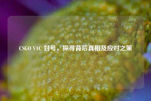 CSGO VAC 封号，探寻背后真相及应对之策