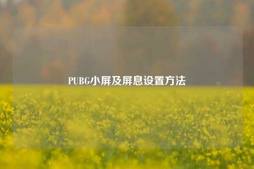 PUBG小屏及屏息设置方法
