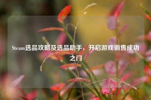 Steam选品攻略及选品助手，开启游戏销售成功之门
