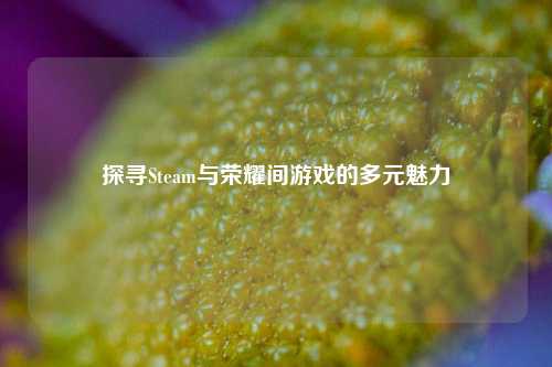 探寻Steam与荣耀间游戏的多元魅力