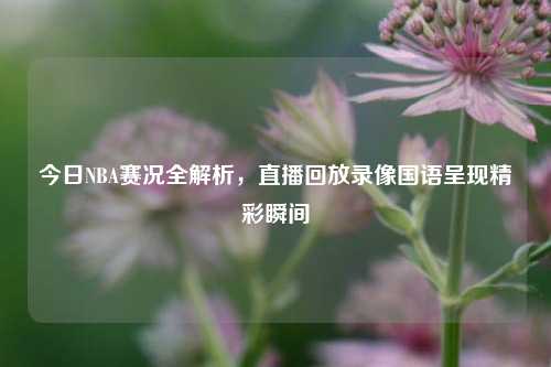 今日NBA赛况全解析，直播回放录像国语呈现精彩瞬间