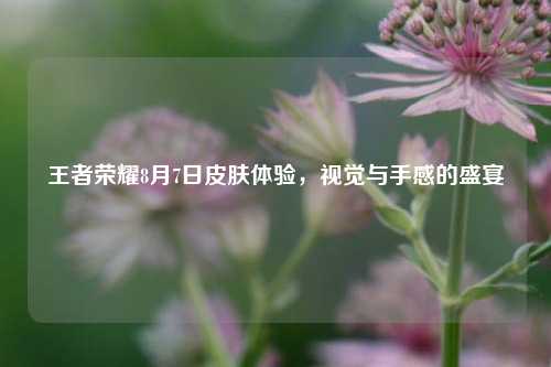 王者荣耀8月7日皮肤体验，视觉与手感的盛宴