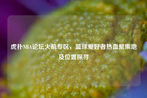 虎扑NBA论坛火箭专区，篮球爱好者热血聚集地及位置探寻