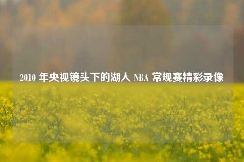 2010 年央视镜头下的湖人 NBA 常规赛精彩录像