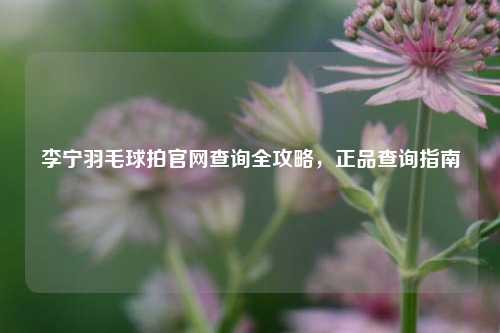 李宁羽毛球拍官网查询全攻略，正品查询指南