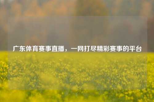 广东体育赛事直播，一网打尽精彩赛事的平台