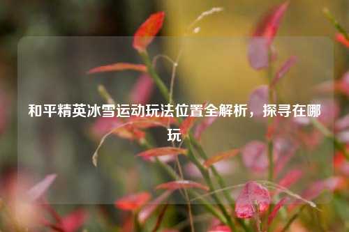 和平精英冰雪运动玩法位置全解析，探寻在哪玩