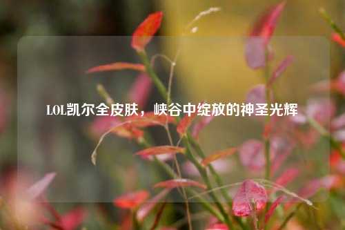 LOL凯尔全皮肤，峡谷中绽放的神圣光辉