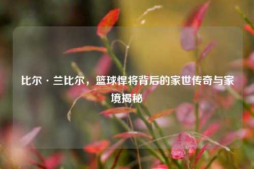 比尔·兰比尔，篮球悍将背后的家世传奇与家境揭秘
