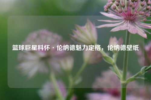篮球巨星科怀·伦纳德魅力定格，伦纳德壁纸