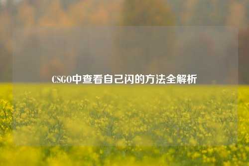 CSGO中查看自己闪的方法全解析