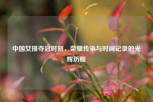 中国女排夺冠时刻，荣耀传承与时间记录的光辉历程