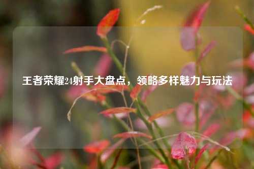 王者荣耀24射手大盘点，领略多样魅力与玩法