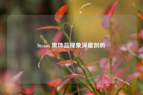 Steam 黑饰品现象深度剖析