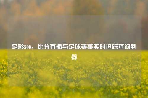 足彩500，比分直播与足球赛事实时追踪查询利器