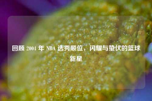 回顾 2004 年 NBA 选秀顺位，闪耀与蛰伏的篮球新星