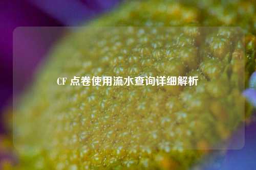 CF 点卷使用流水查询详细解析