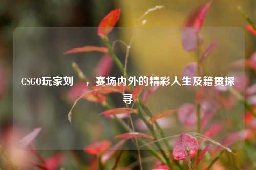 CSGO玩家刘頔，赛场内外的精彩人生及籍贯探寻