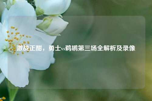 激战正酣，勇士vs鹈鹕第三场全解析及录像