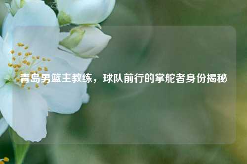 青岛男篮主教练，球队前行的掌舵者身份揭秘