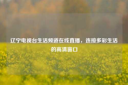 辽宁电视台生活频道在线直播，连接多彩生活的高清窗口
