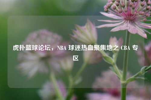 虎扑篮球论坛，NBA 球迷热血聚集地之 CBA 专区