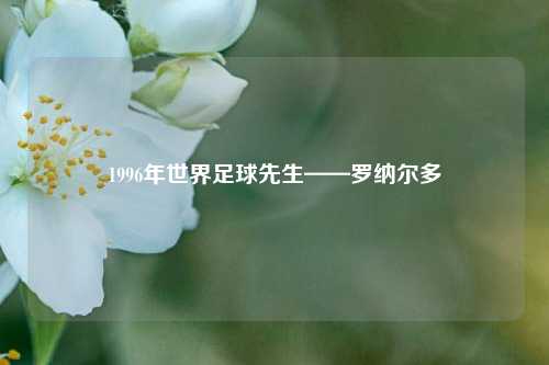 1996年世界足球先生——罗纳尔多