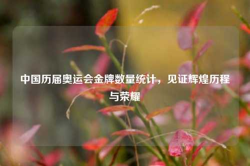 中国历届奥运会金牌数量统计，见证辉煌历程与荣耀