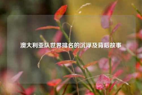 澳大利亚队世界排名的沉浮及背后故事