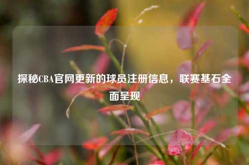 探秘CBA官网更新的球员注册信息，联赛基石全面呈现