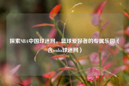 探索NBA中国球迷网，篮球爱好者的专属乐园（含wnba球迷网）