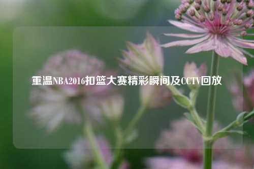 重温NBA2016扣篮大赛精彩瞬间及CCTV回放